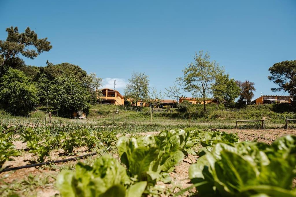 تورديرا Casa Rural En El Campo Las Dalias المظهر الخارجي الصورة